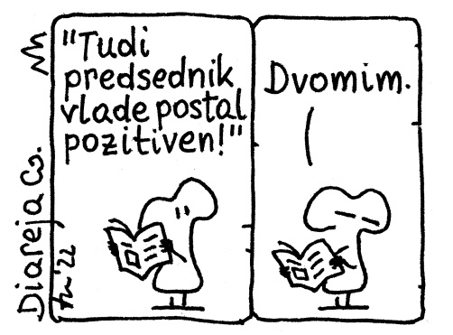 Pozitiven predsednik