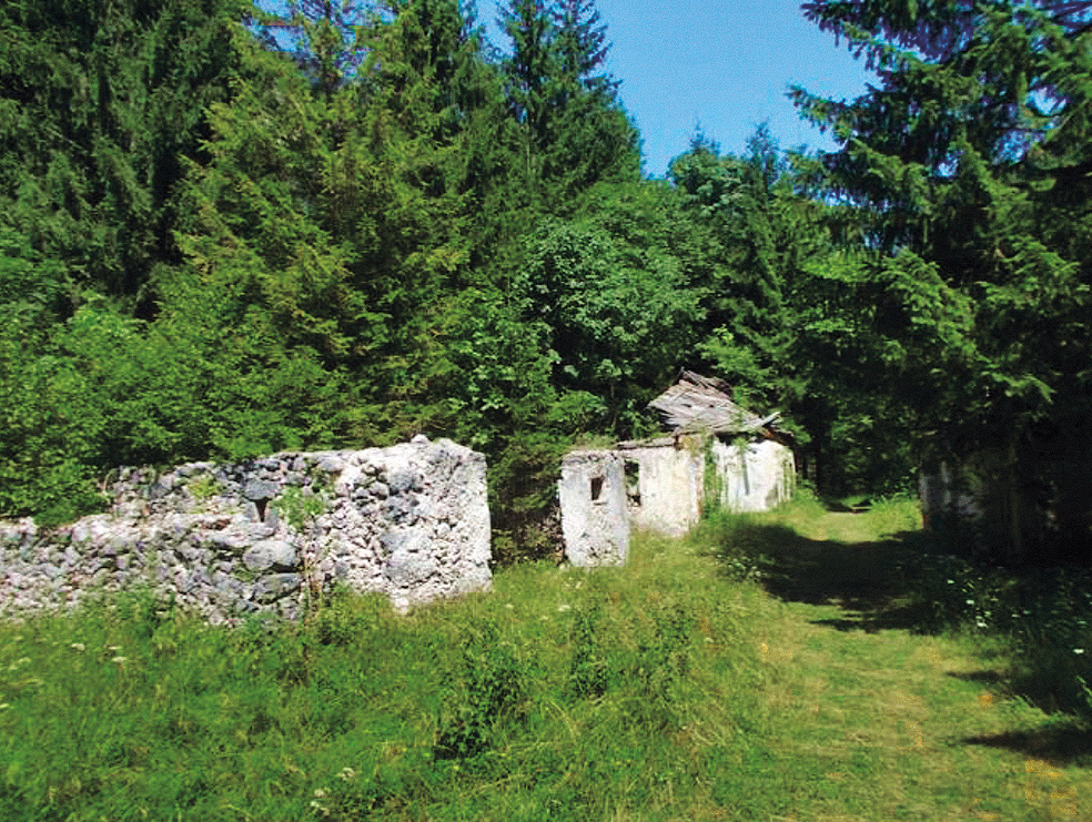 Zemljišče v Trenti, ocenjeno na 15 tisoč evrov, za katero je Janša iztržil 131 tisoč evrov