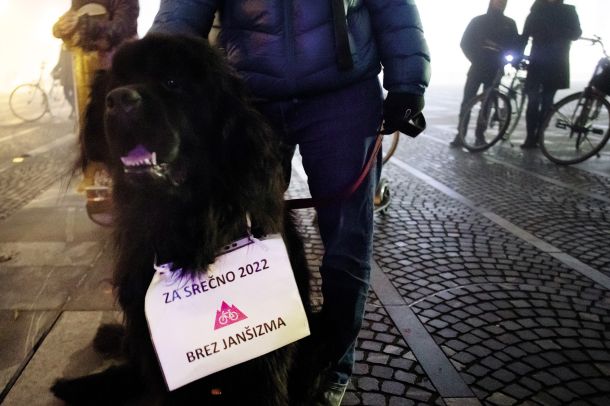 Silvestrski petkov protest, LJ