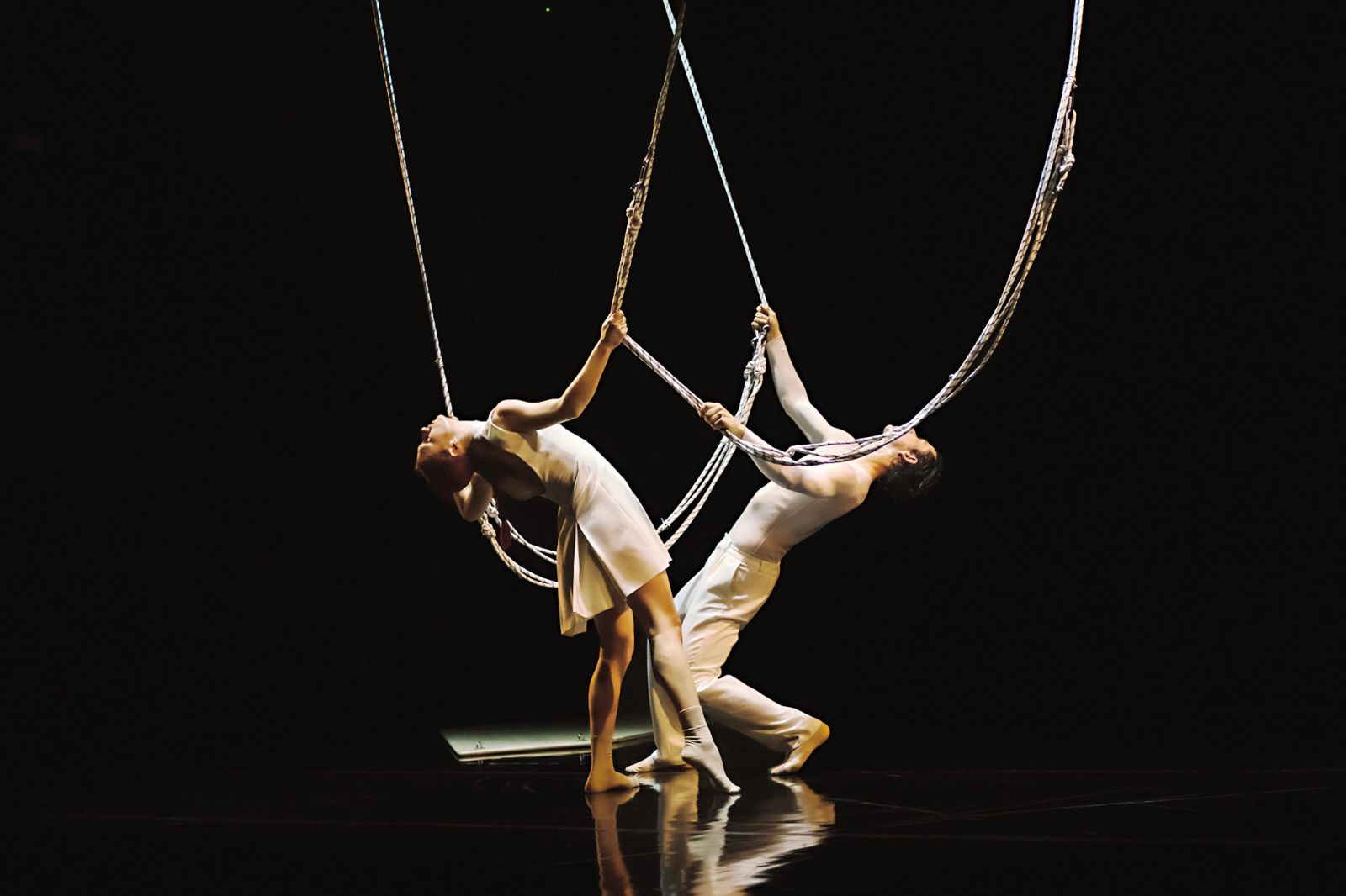 Neda R. Bric: Stopi iz moje sence PI314, Plesni teater Ljubljana | Drago Videmšek