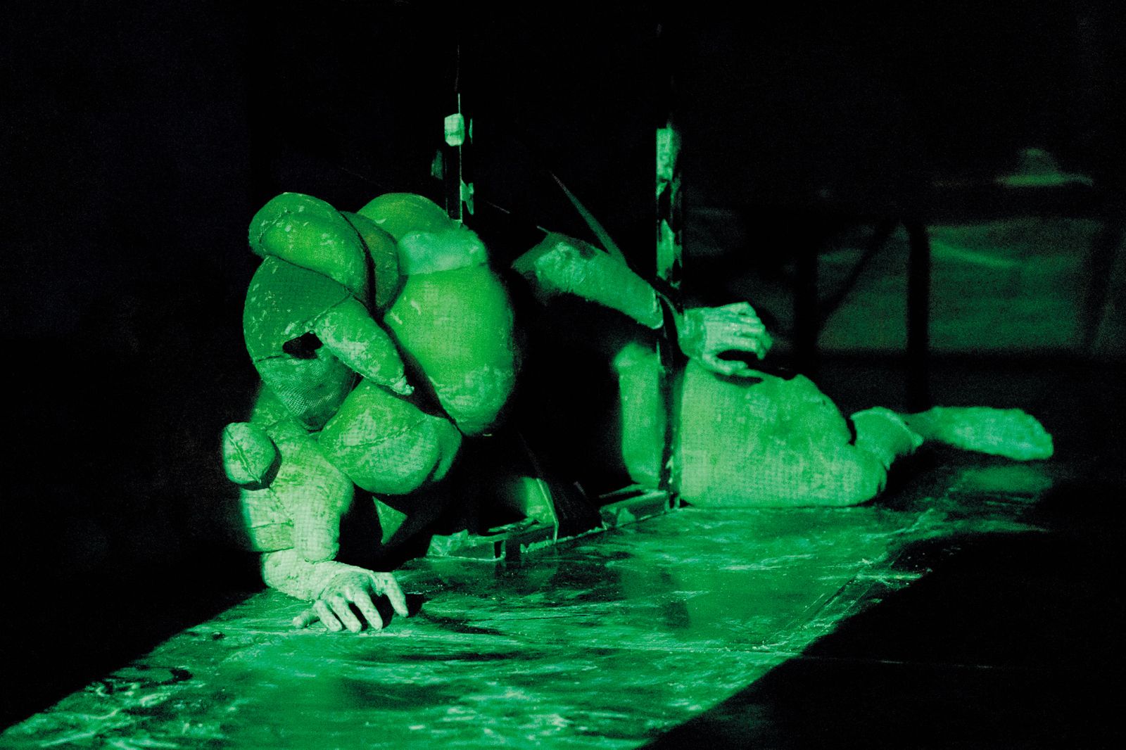 Tatiana Kocmur: The Following Body; 24. Rdeče zore, Galerija Alkatraz, LJ | Nada Žgank