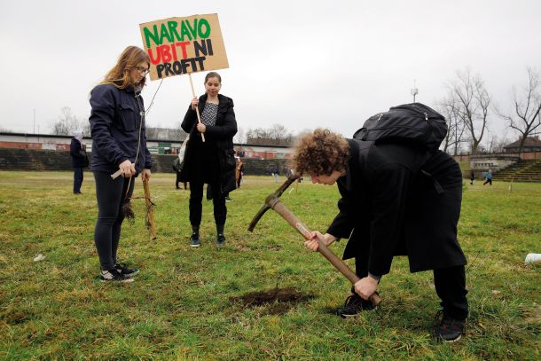 Simbolično sajenje dreves na pozabljenem in propadajočem Plečnikovem stadionu