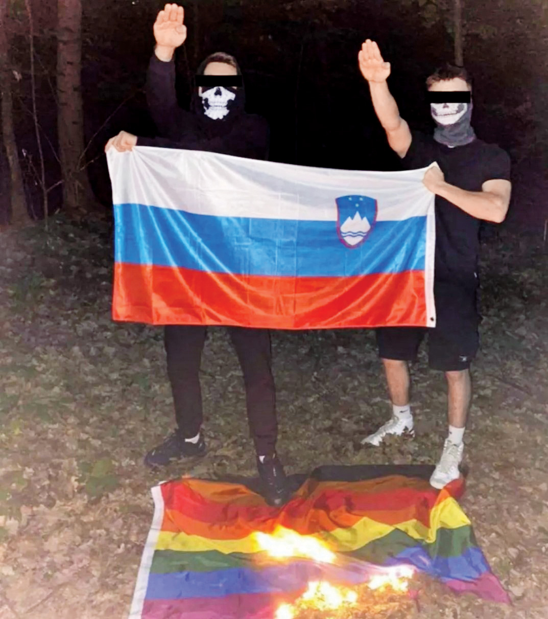 Neonacisti so februarja skoraj prevzeli nadzor nad Mladinskim svetom Ljubljana, v katerem sta tudi društvi Parada ponosa in Legibitra.