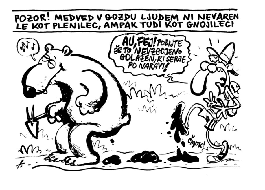Medved je v gozdu koristen tudi drugače