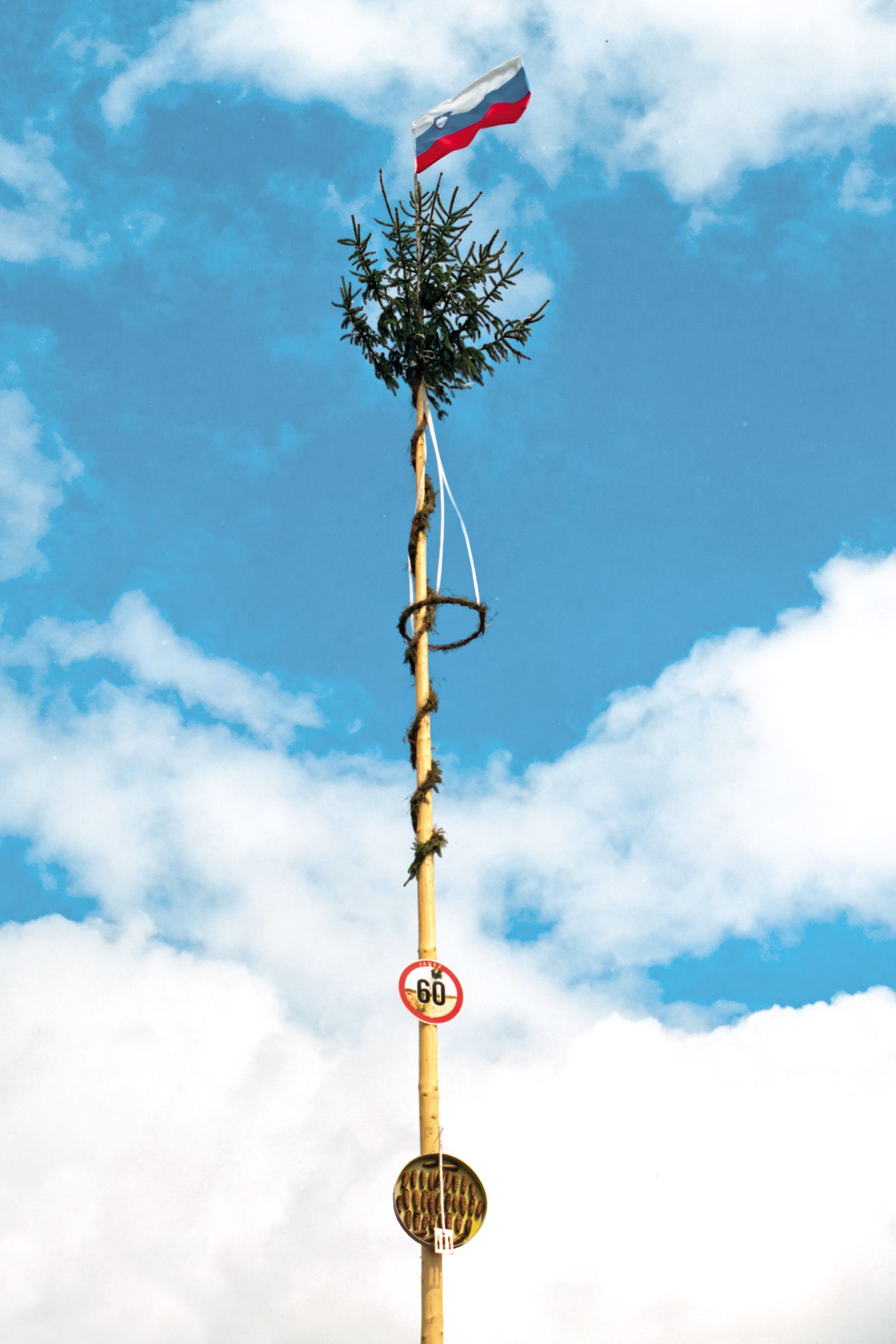 Fotografija z naslovom Janez (60), ki jo je Lucija Rosc posnela na Koroškem in je naprodaj v ljubljanski galeriji DobraVaga, prikazuje tradicionalen mlaj, okrašen s pladnjem storžev, ki simbolizirajo čevapčiče.