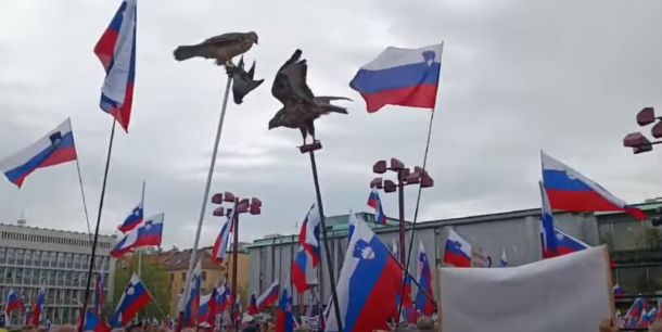 Mrtev golob plapola med slovenskimi zastavami: triumf mrhovinarske mentalitete
