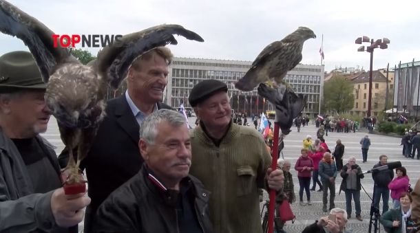 Rupar in nagačeni sokoli 