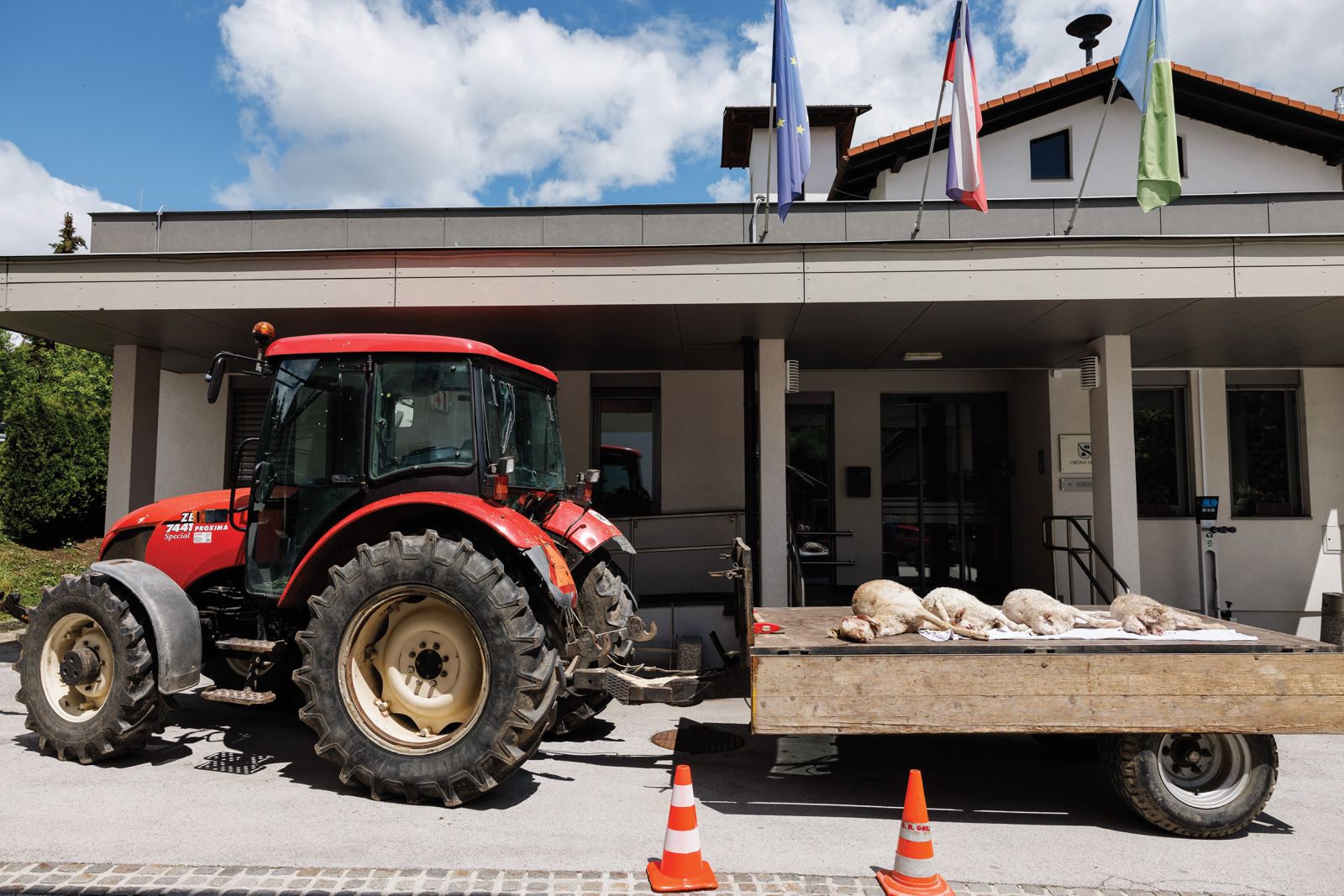 Protest domaćinov po napadu volkov v Gorjah | Luka Dakskobler