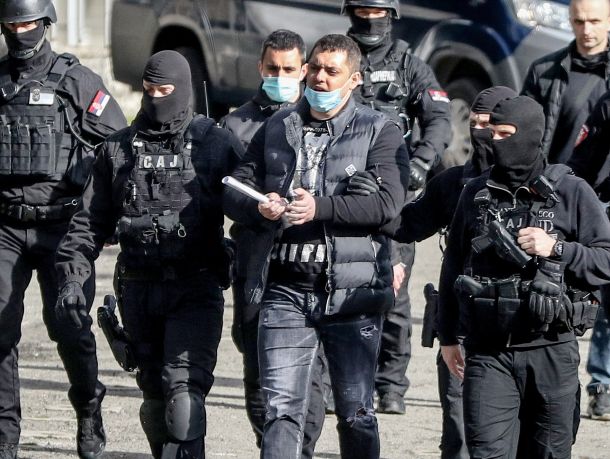 Krvoločno tolpo je vodil nogometni huligan in preprodajalec kokaina, v Beogradu dobro znani Veljko Belivuk z vzdevkom Velja Nevolja. (na fotografiji njegova aretacija februarja 2021)