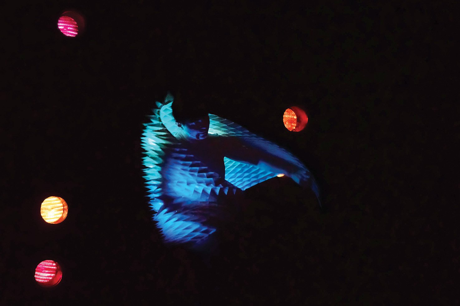 Bettina Szabo / Petrikor Danse: Habitat, v okviru Svetlobne gverile, PTL | Drago Videmšek