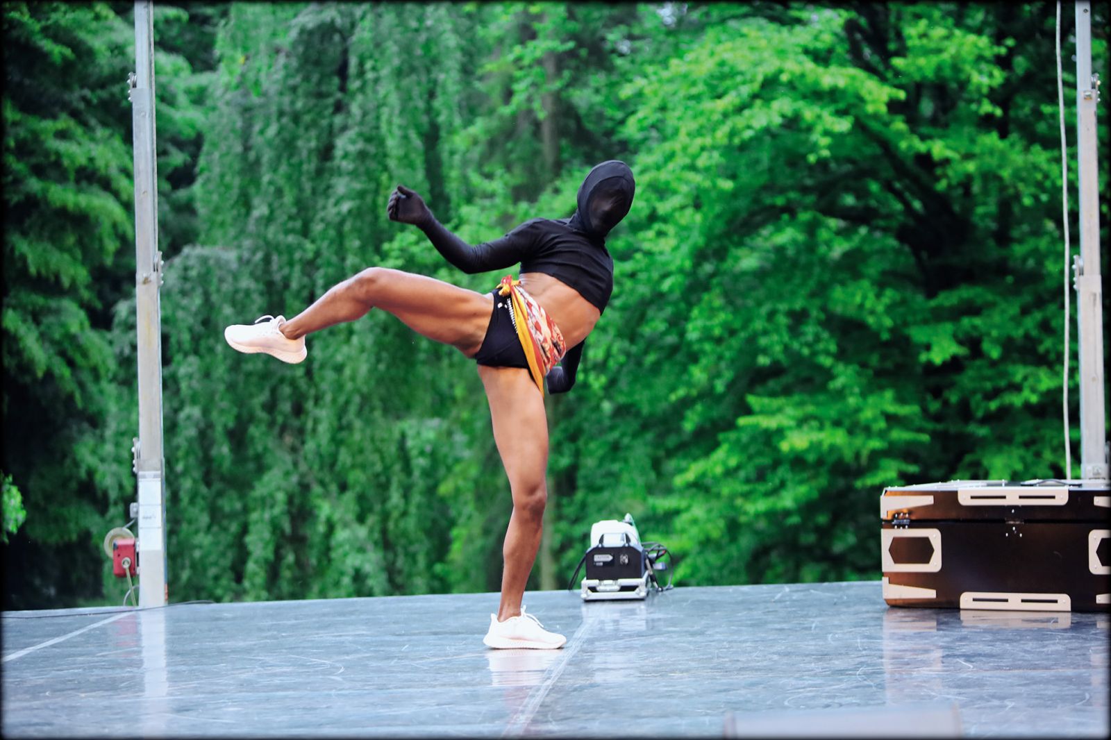 Christian Guerematchi in Shishani: NAM – Gibanje neuvrščenih, Spider Festival, LJ | Sunčan Stone
