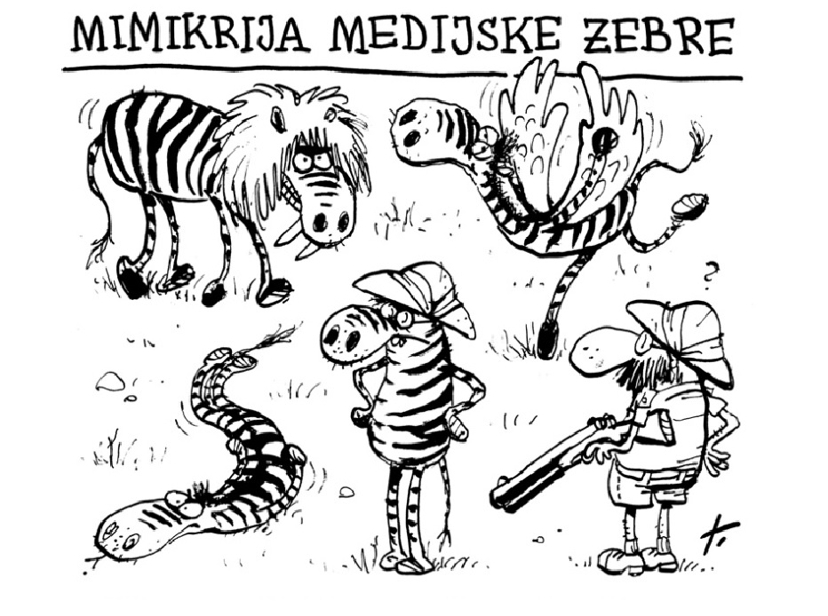 »Deluje kot konj in ima črte, ampak se moramo delati, da ni zebra«