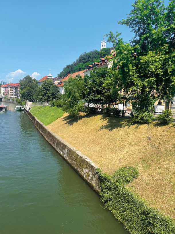 Ožgano nabrežje Ljubljanice