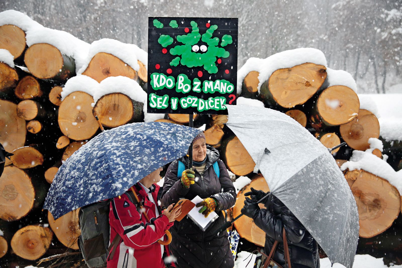 Protest proti sečnji gozda na Rožniku v Ljubljani | Borut Krajnc