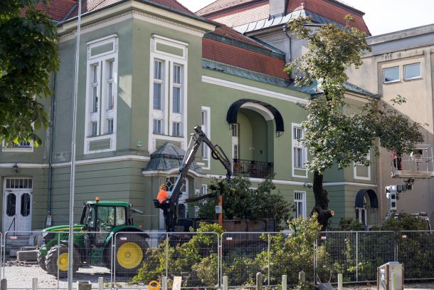 Posek dreves pred ljubljansko Dramo