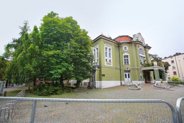 Začetek konca življenja drevesa pred Dramo 
