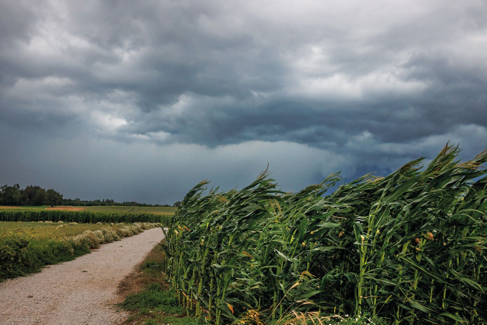 Prihajajoča nevihta pri Kranju, avgust 2023