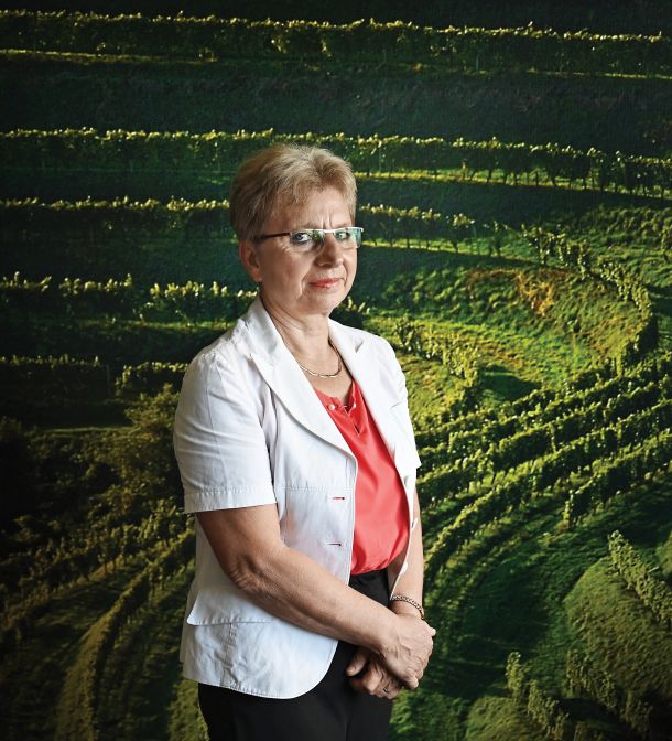 Irena Šinko, ministrica za kmetijstvo, gozdarstvo in prehrano