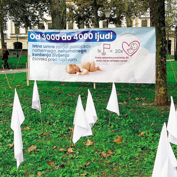 Zastavice, ki so jih postavili pri Pohodu za življenje 