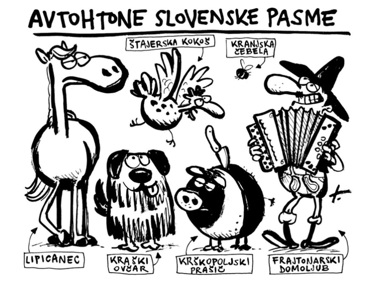 »Nikakor ne smemo dopustiti, da bo slovensko domoljubje le frajtonarica«