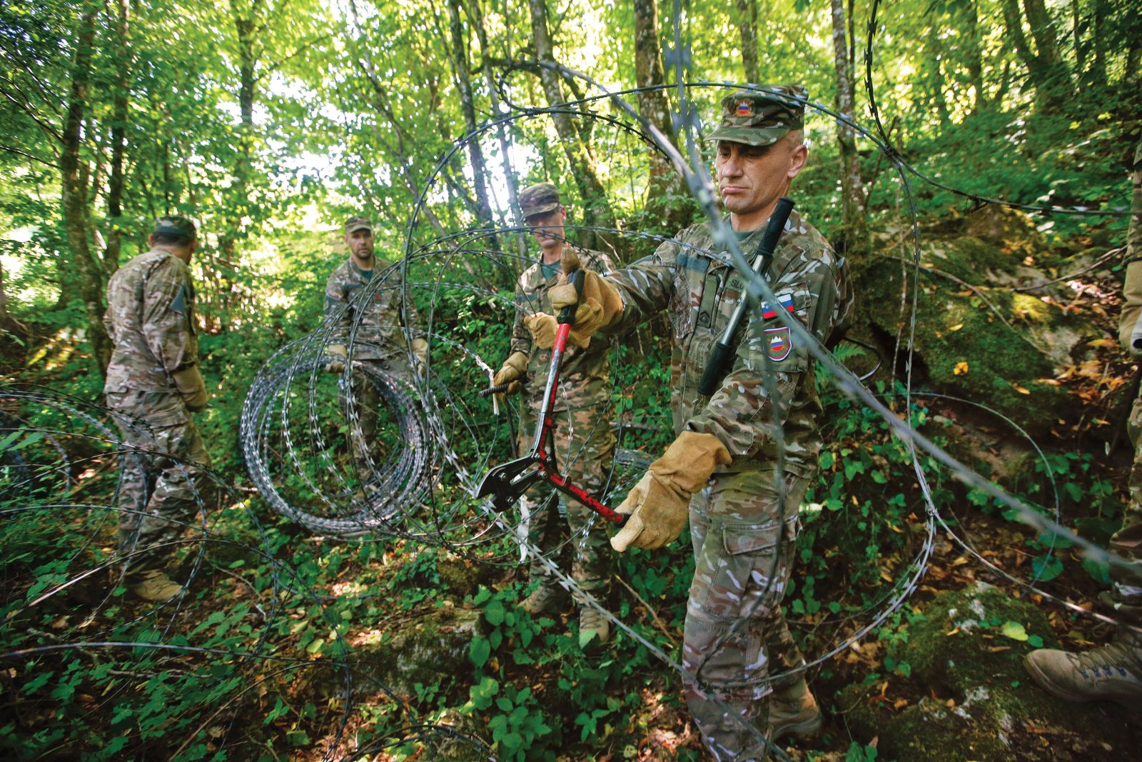 Odstranjevanje žice na meji pri Metliki | Borut Krajnc