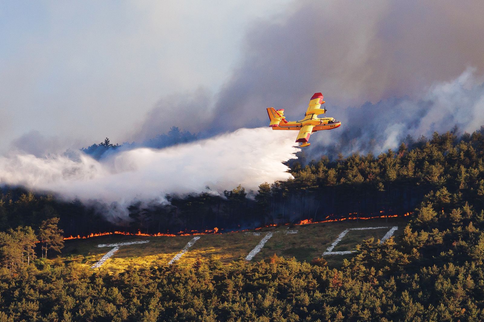 Požar na Krasu, Renški vrh | Luka Dakskobler, Bobo