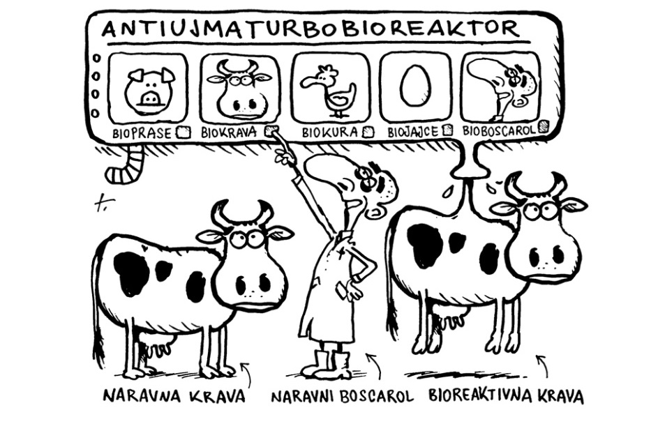 Umetno meso kot alternativa kravam 