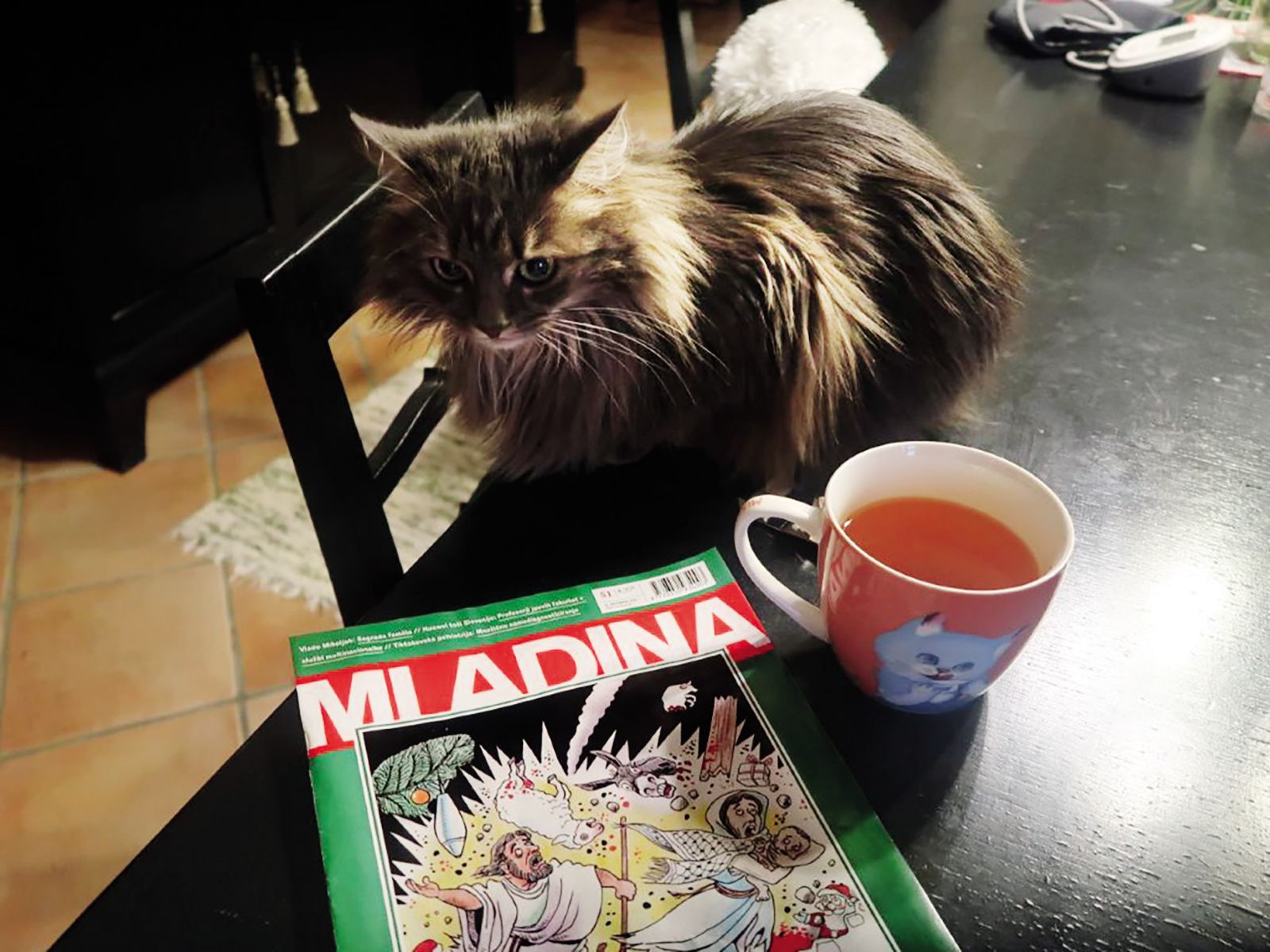 Z Jurčičeve Muljave | Jelka