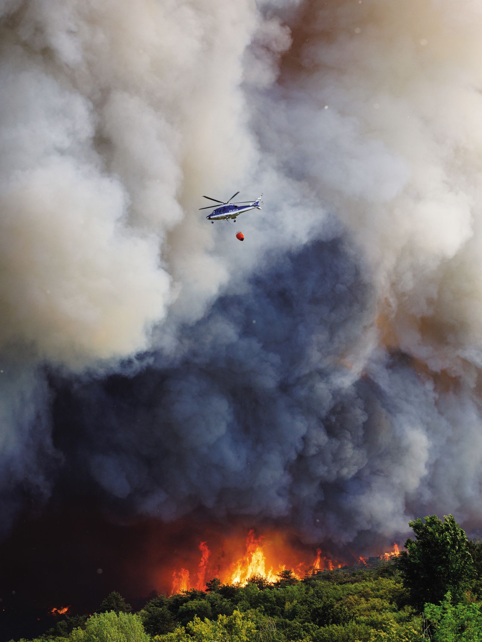 Požar pri Mirnu na Krasu 20. julija 2022