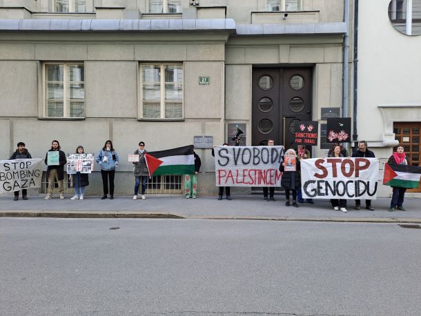 Propalestinski protestniki pred vlado