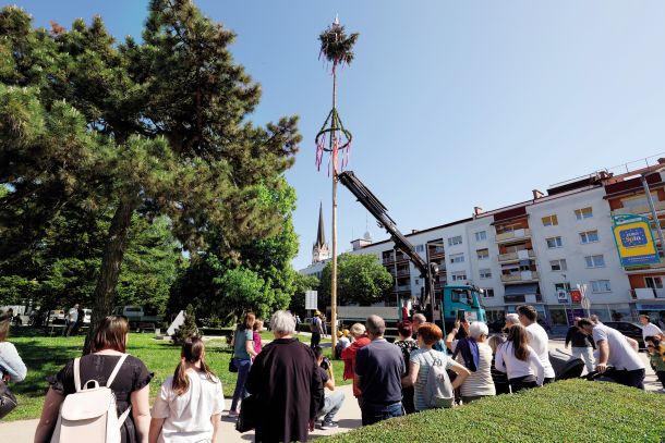 Postavljanje mlaja v Murski Soboti
