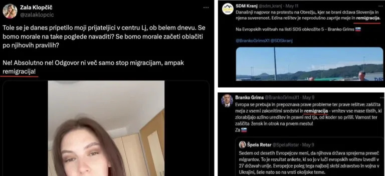 Remigracija: ključna beseda nekaterih članic in članov stranke SDS