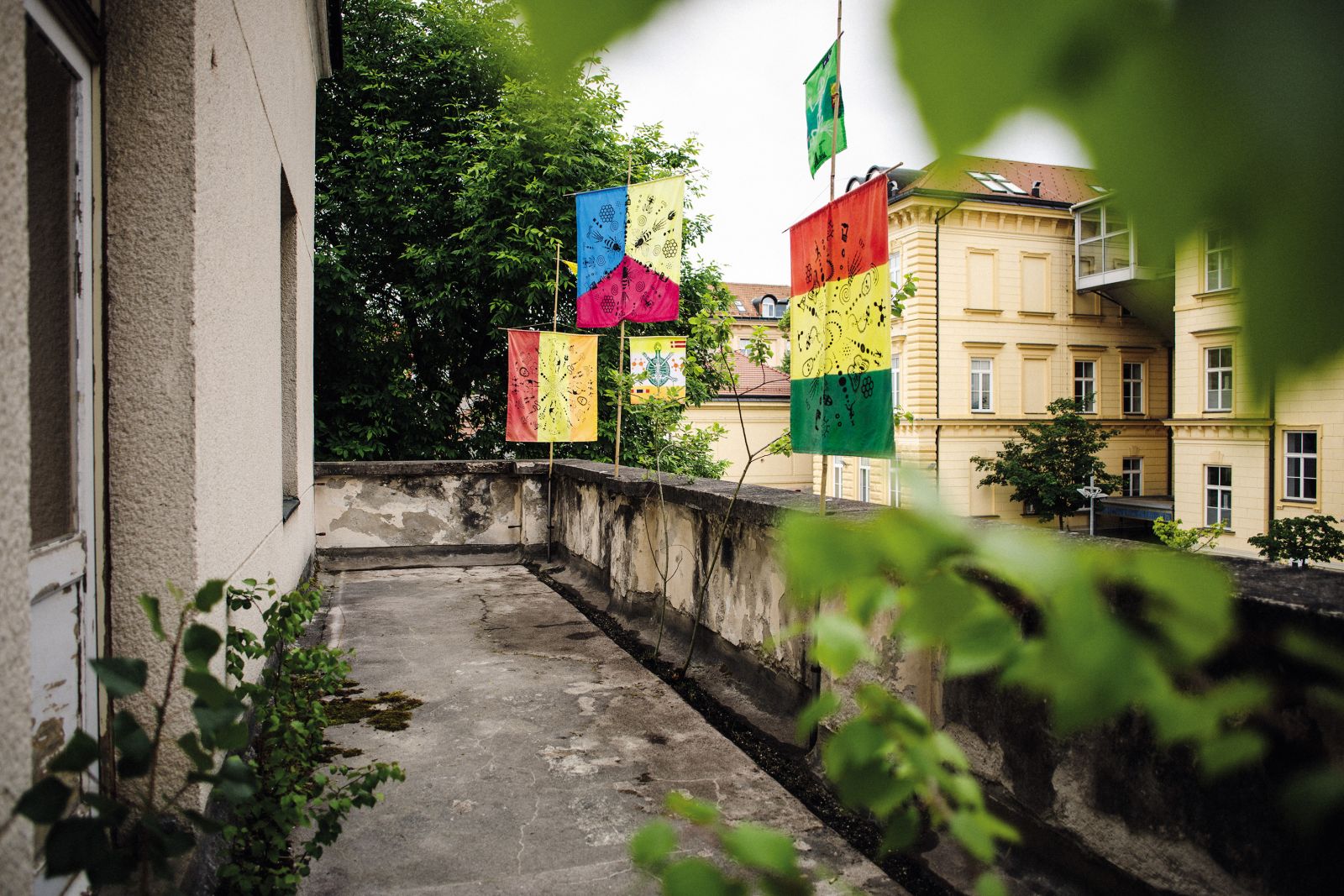 Niz zastav iz serije Zastave za ogrožene vrste ameriškega umetnika Davida Neza opozarja na vprašanje množičnega izumiranja tako živali kot ljudi.