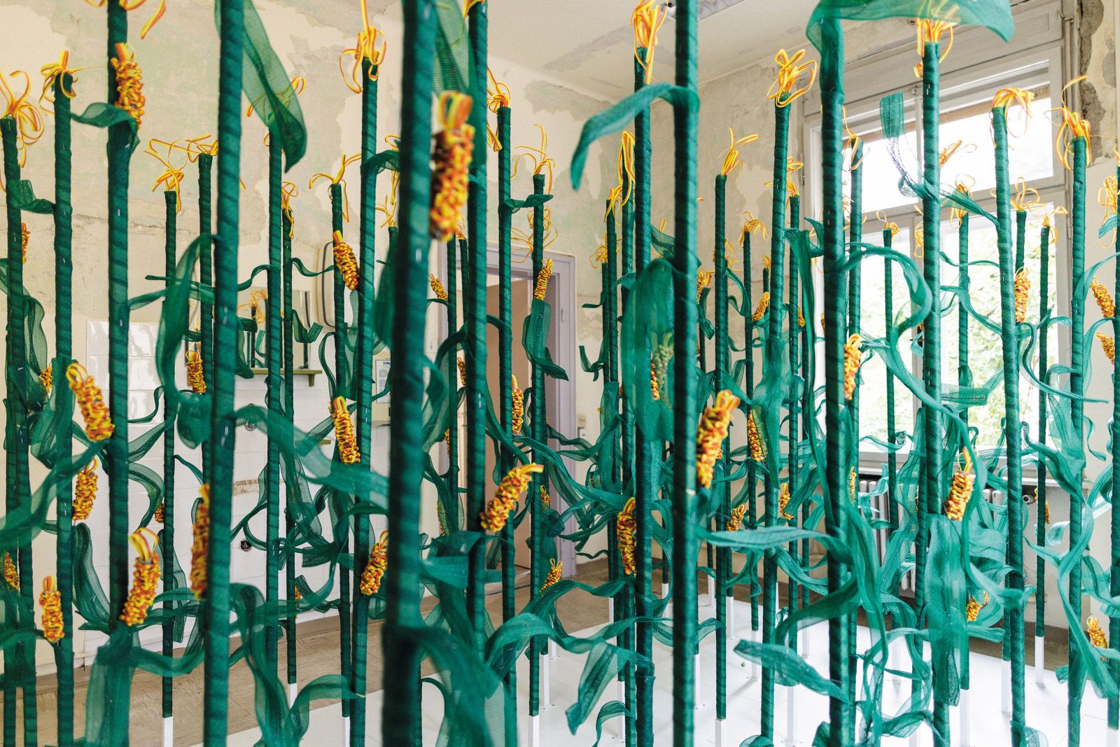 Koruzno polje (ostani tako dolgo, kot želiš) je elektrificirana kiparska postavitev slovenske umetnice Nine Koželj. 