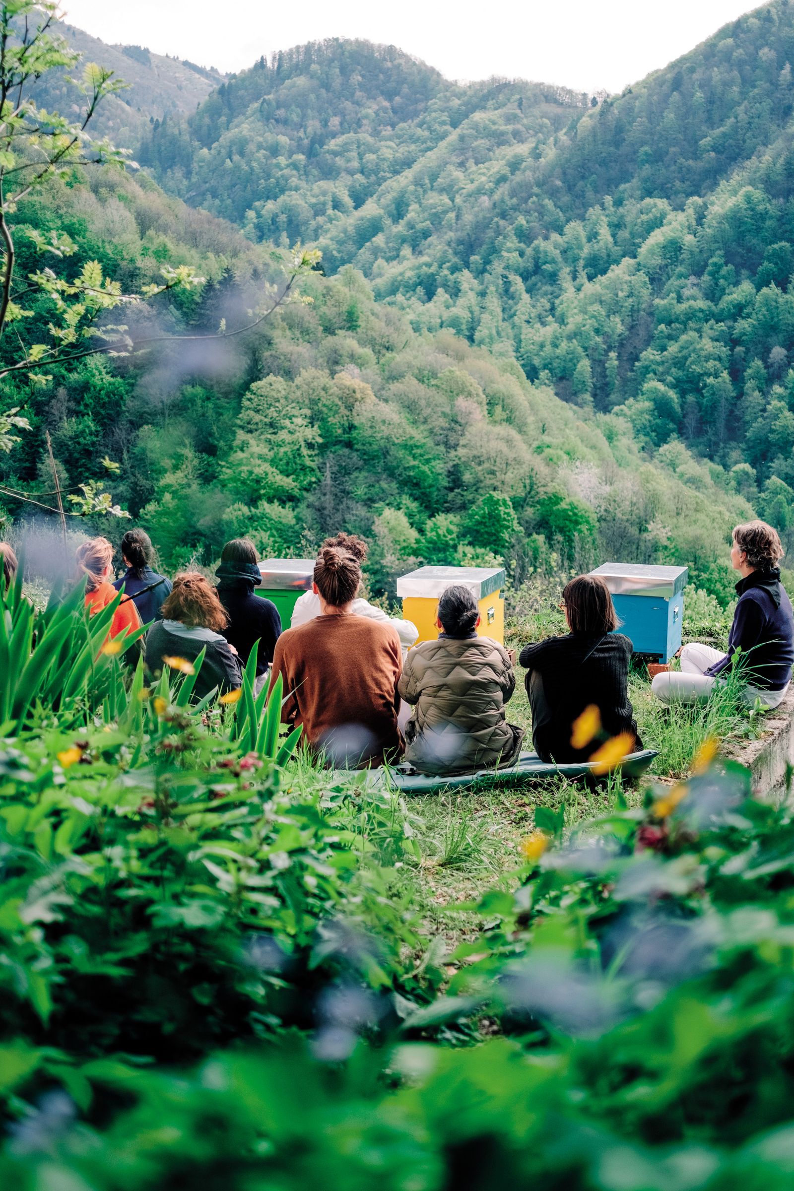 Kolektiv Robida deluje na treh ravneh. Skupaj z domačini obrezuje robide, ureja terase, skrbi za čebele, utrjuje poti, ureja vrtove, deluje pa tudi v sferi slovenske manjšine v Benečiji in mednarodno. Na fotografiji so udeleženci Robidine čebelarske delavnice