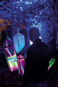 V2V // Urša Čuk in Amadej Plesničar: Kristalni preporod; festival Svetlobna gverila: Transformacije, vrt ob križevniški cerkvi, LJ