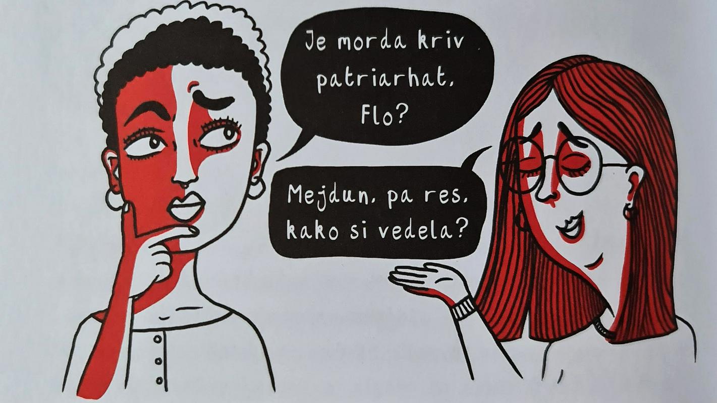 Kako seksati feministično?