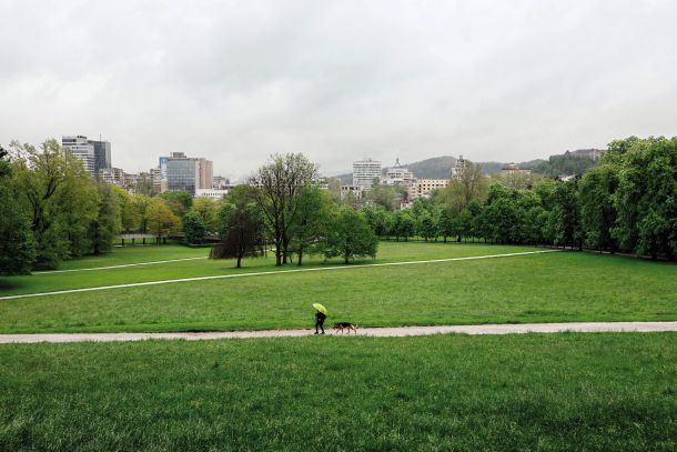 Travniki v ljubljanskem Tivoliju, kjer bi rad koncertiral Magnifico