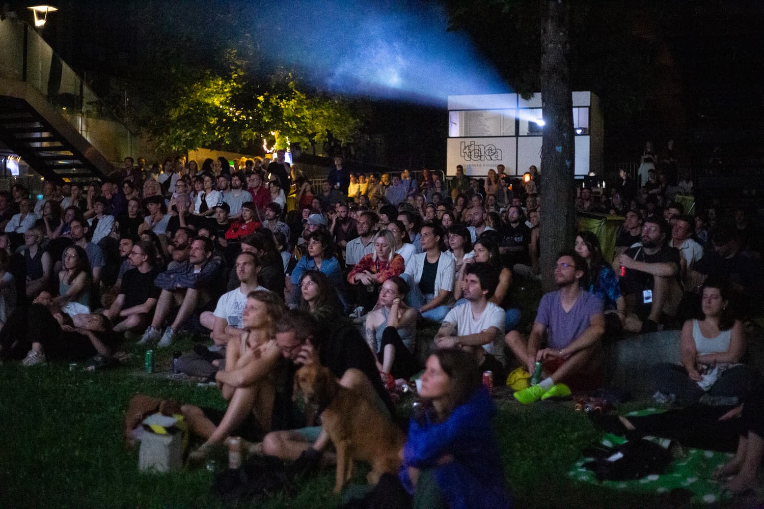 Letni kino Slovenske kinoteke