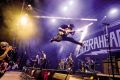 Zebrahead