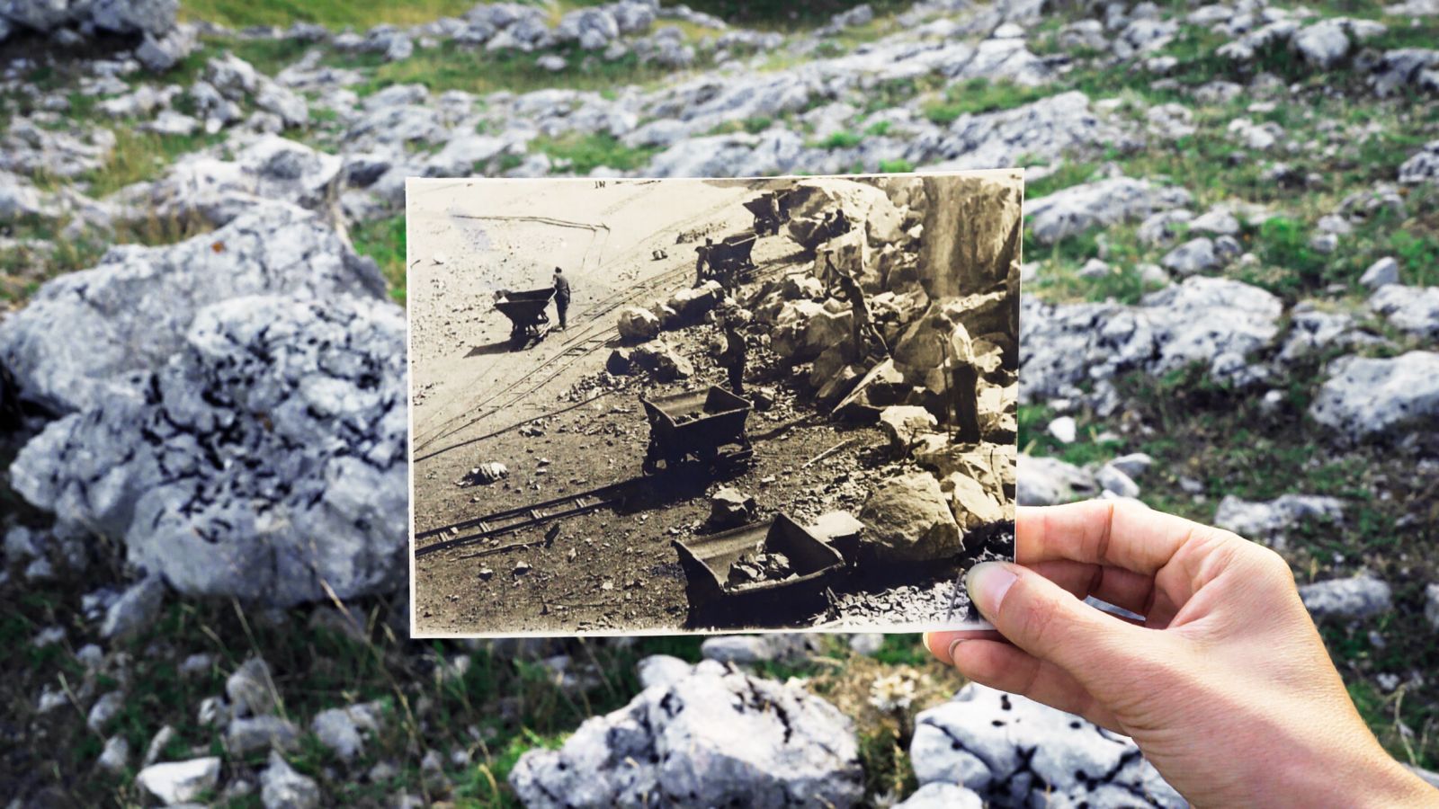 Obzornik 242 - Sunčane pruge (Nika Autor)