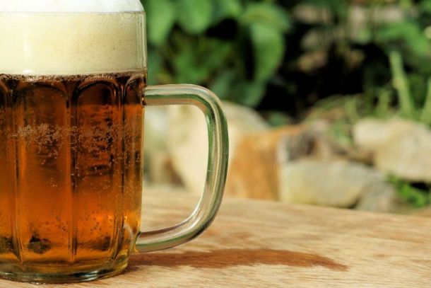 »Malo pivo je bolj ekološko sporno«