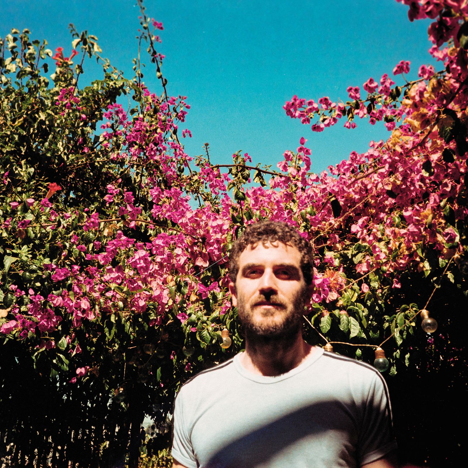 Izjemno učinkovita redukcija Jaarovega debelega svežnja.