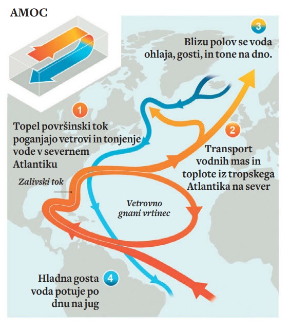 Danes: Zalivski tok sestavljata dva prispevka: z vetrom gnani vodoravni vrtinec med Ameriko, Afriko in Evropo,  ter navpični vrtinec (AMOC) med površino in dnom.