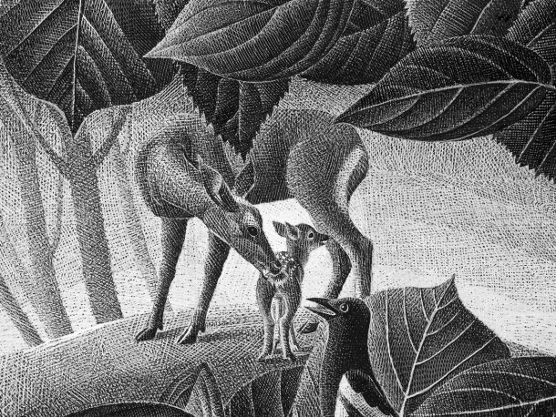 Črno-bele ilustracije za novi ameriški prevod Bambija avstrijskega judovskega pisatelja Felixa Saltna