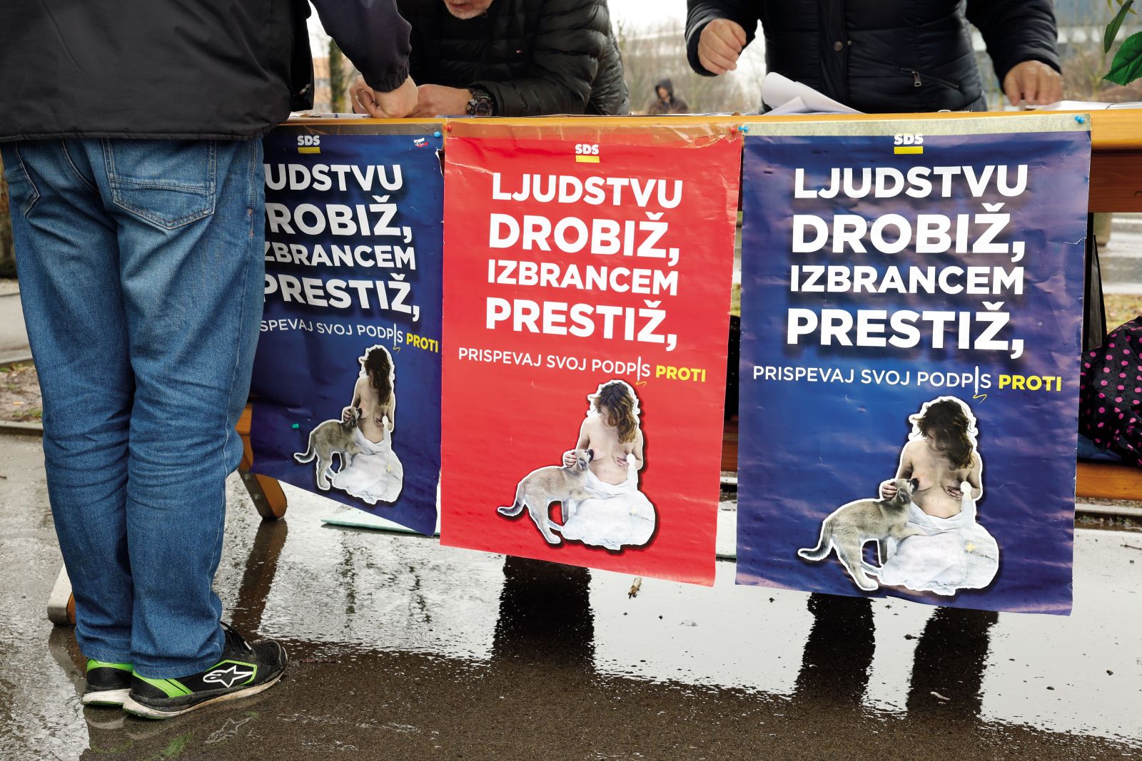 Stranka SDS je umetničino delo iz projekta K-9 topologija ukradla in zlorabila za referendumsko kampanjo proti zakonu o dodatku k pokojnini za izjemne dosežke v umetnosti, za kar ji je Levica napovedala kazensko ovadbo