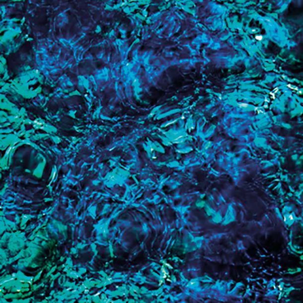 Ichiko Aoba: Luminescent Creatures