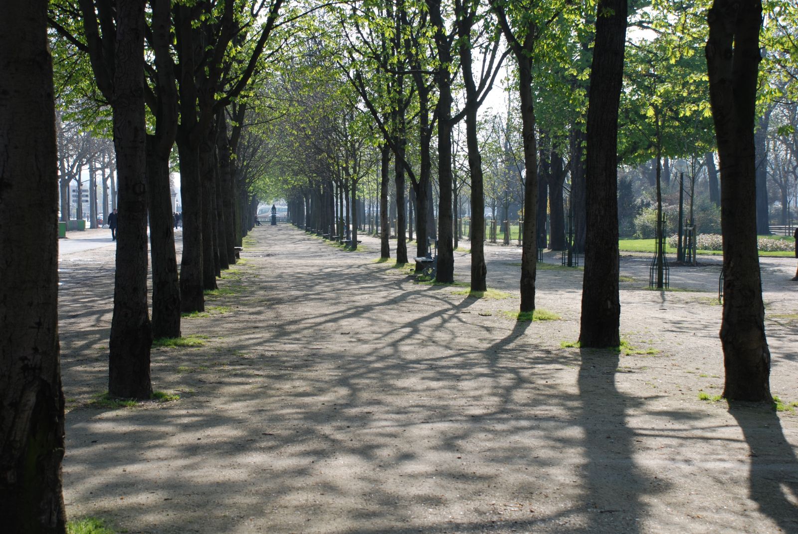 Ozelenitev 500 mestnih ulic