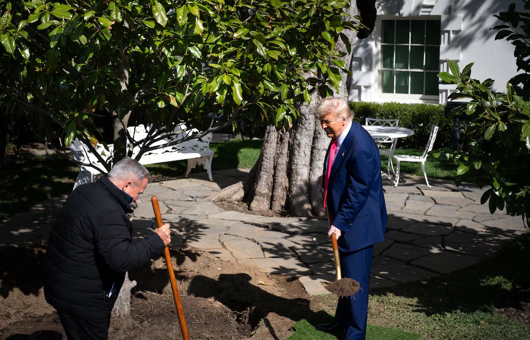 Trumpova »maganolija«