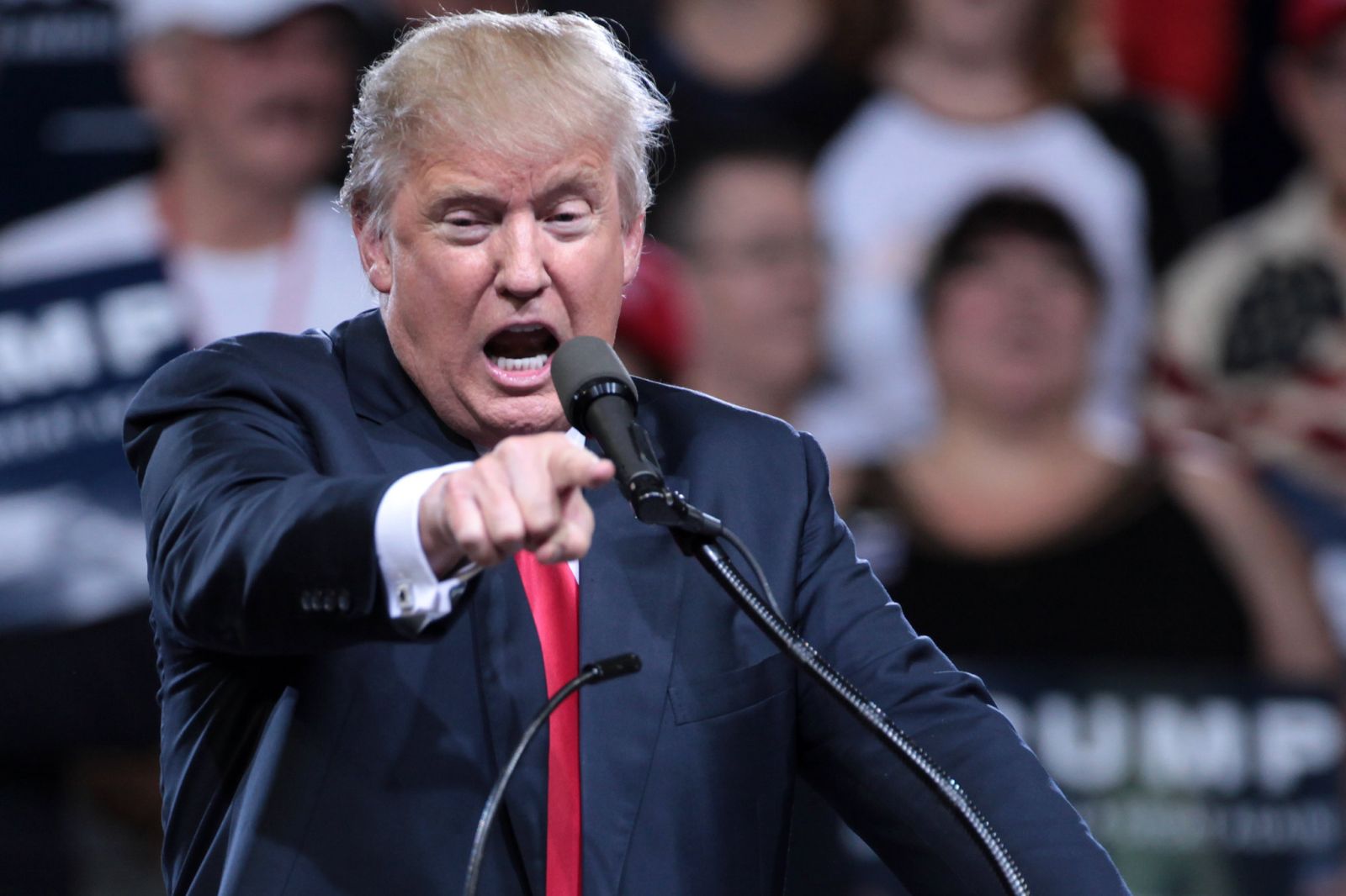 Trump /  »Mislim, da je kriv izdaje«